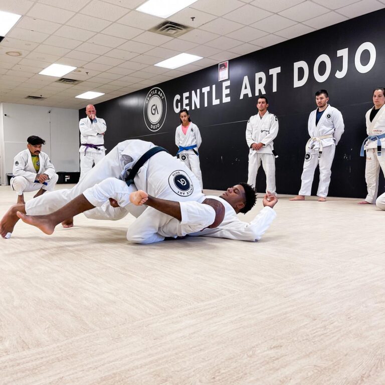 BJJ FUNDAMENTALS Gentle Art Dojo Brazilian Jiu Jitsu Academy